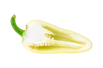 fresh green sweet (capsicum) pepper. Bell pepper or Capsicum annuum, also called sweet pepper or capsicum, isolated from the background