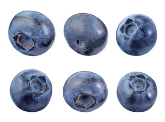 Set with fresh ripe blueberries isolated on white