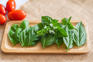 新鮮なハーブ　バジル