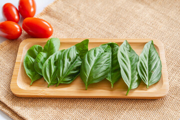 新鮮なハーブ　バジル