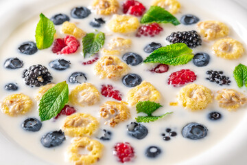 Cereal with milk and berries