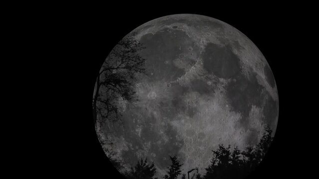 Moon view animation from Earth