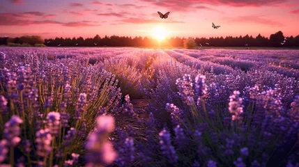 Fototapeten Fantasy landscape of blooming lavender flowers,butterfly glow © Inlovehem