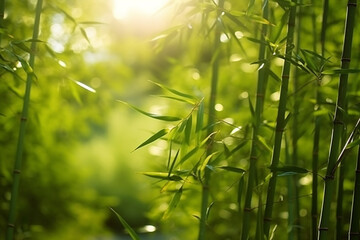 Abstract blur bamboo forest with sunlight