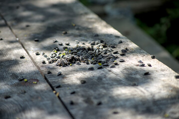 Pile of sunflower seeds on wooden table