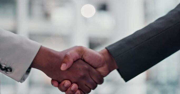Business people, teamwork and staff with handshake, agreement and collaboration in meeting. Zoom, corporate deal and coworkers shaking hands, job interview and welcome with support and cooperation