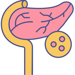Pancreas