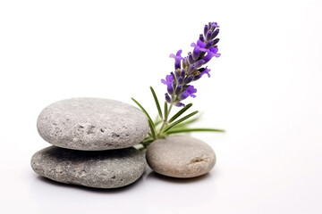 Fototapeta na wymiar Lavender flower and stone isolated on white background.