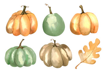 Ripe pumpkins watercolor illustration isolated on white background. Orange, green and brown pumpkins, vintage illustration, oak leaf llustration.