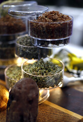 seeds and sprouts of edible plants in kitchen containers