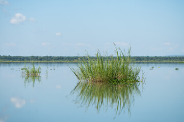 Fototapeta premium lake and sky