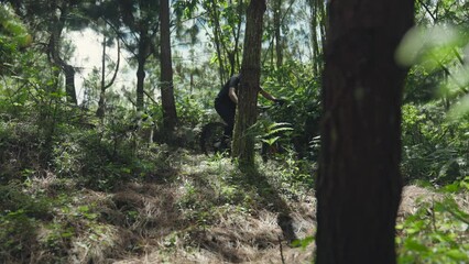 Man riding a bike down with his dog in the green forest on a sunny day