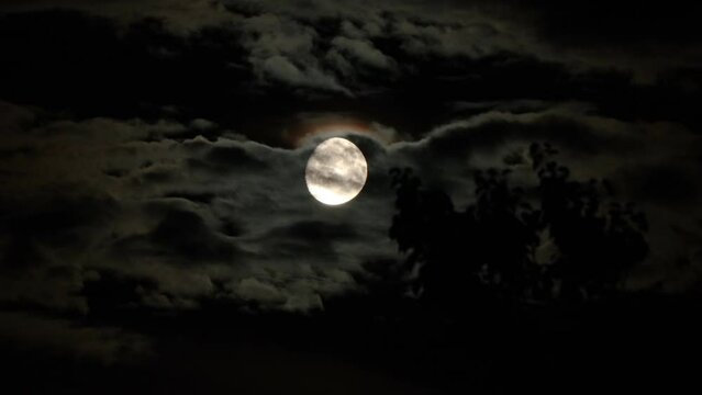 Moon in the clouds in a mysterious Halloween style. Dark clouds fly in the dramatic night sky