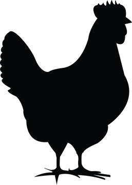 recommend clip art: Vector of a chicken silhouette on a white background