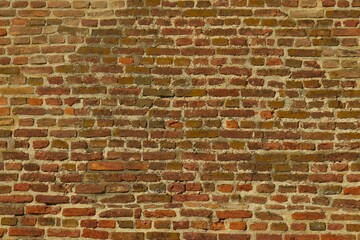 Fototapeta premium old brick wall