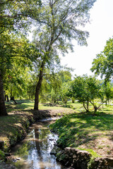 Beautiful photo in the park in Chisinau