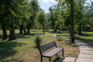 bench in the park Chisinau