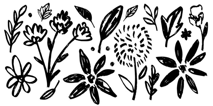 Set of flowers, leaves, floral stems. Primitive wild plants drawing with grunge brush. Black and white botanical elements. Vector illustration. Simple style plants