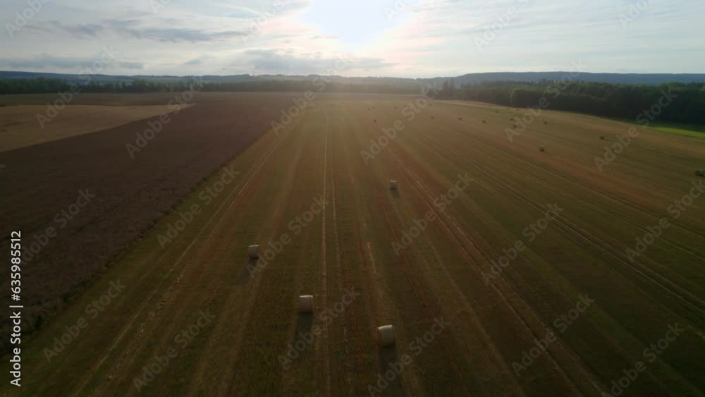 Wall mural aerial video of round haystacks in the dry farm field on a sunny day - Wall murals
