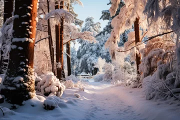 Foto op Plexiglas Zalmroze Freezing road in a snowy winter forest, snow and ice in nature, beautiful winter landscape