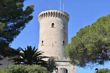 Fototapeta na wymiar Medieval Spanish Castle Tower Flanked by Trees