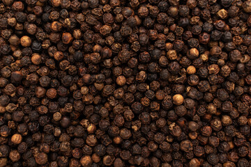 Black pepper (the peppercorn). Close up.