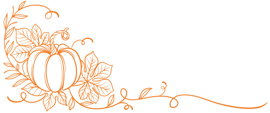pumpkins line art style. Pumkin thanksgiving element vector illustration