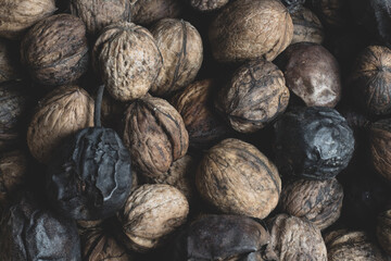 Harvesting organic walnuts. overlay shot of fresh nuts with vintage nutcracker