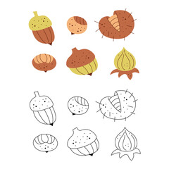 Set of abstract nuts and physalis. Black and white and color clipart vector illustration.
