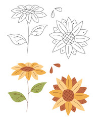 A small set with sunflower and seeds. Black and white and color clipart vector illustration.