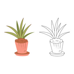 Plant in the pot. Black and white and color clipart vector illustration.