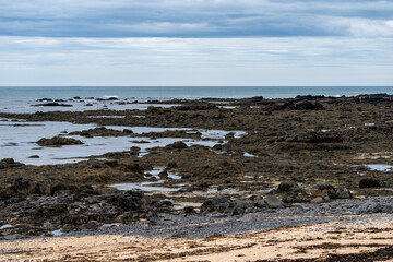 Rocky scenic beach at Ytri Tunga in Iceland