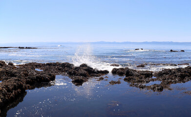 Fototapeta na wymiar Wave crushing on shore rocks at low tide
