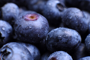 fresh blueberries with water drops close-up macro, organic healthy food concept