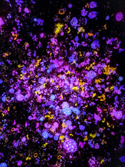 Abstract background. Flowers in the sky. Colorful. 