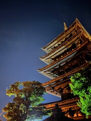 Fototapeta na wymiar Kyoto, city by night. Japanese pagoda. Traditional architecture. 