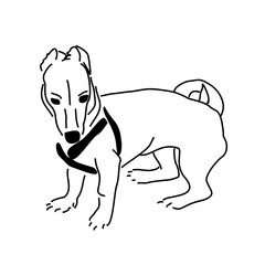 Funny puppy. Black and white linear drawing of a dog