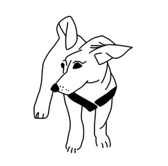 Funny puppy. Black and white linear drawing of a dog