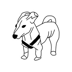 Funny puppy. Black and white linear drawing of a dog