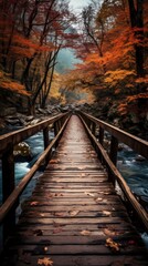 Obraz premium Wooden bridge over the river on the background of the forest.
