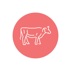 Cow animal color line icon. Pictogram for web page