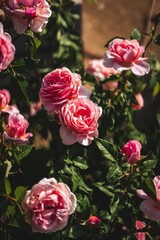 Vertical shot of a majestic Japanese garden covered in flowers and greenery in Japan