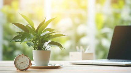 Office desk with laptop, 
alarm clock and plant in pot on wooden table with sunlight.