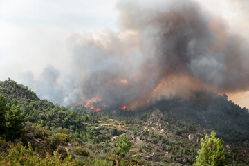 Incêndio florestal com grandes labaredas a queimar o monte com uma enorme nuvem de fumo no ar
