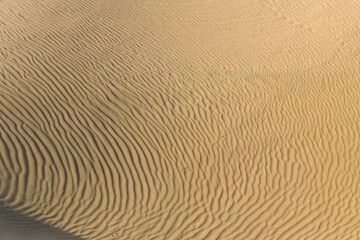 Fototapeta na wymiar Scenic view of the dunes in a desert in Namibia