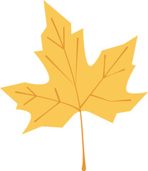 Obraz premium Autumn Grapes Leaf