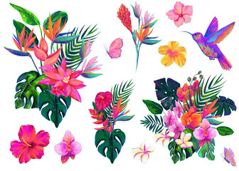 Set of vivid tropical flowers bouquets, hand drawn oil illustration