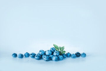 Some berries ripe blueberries with mint leaves on a blue background. Healthy food concept. Place for text.