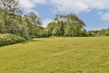 a grassy field with trees and bushes in the background on a bright sunny day, as seen from the ground