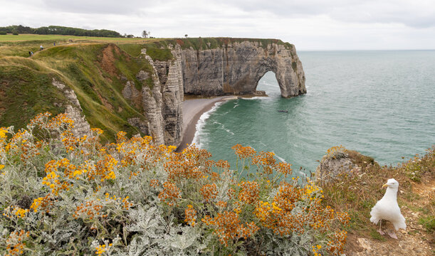 Alabaster coast in Etretat in the Normandy